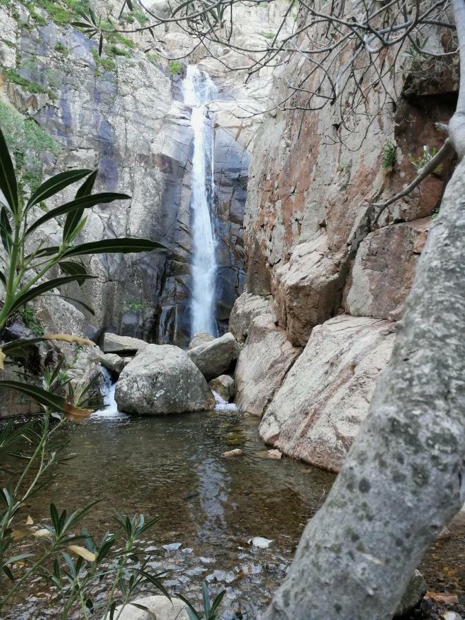 Il Giardino All'Angolo Villacidro Exteriör bild