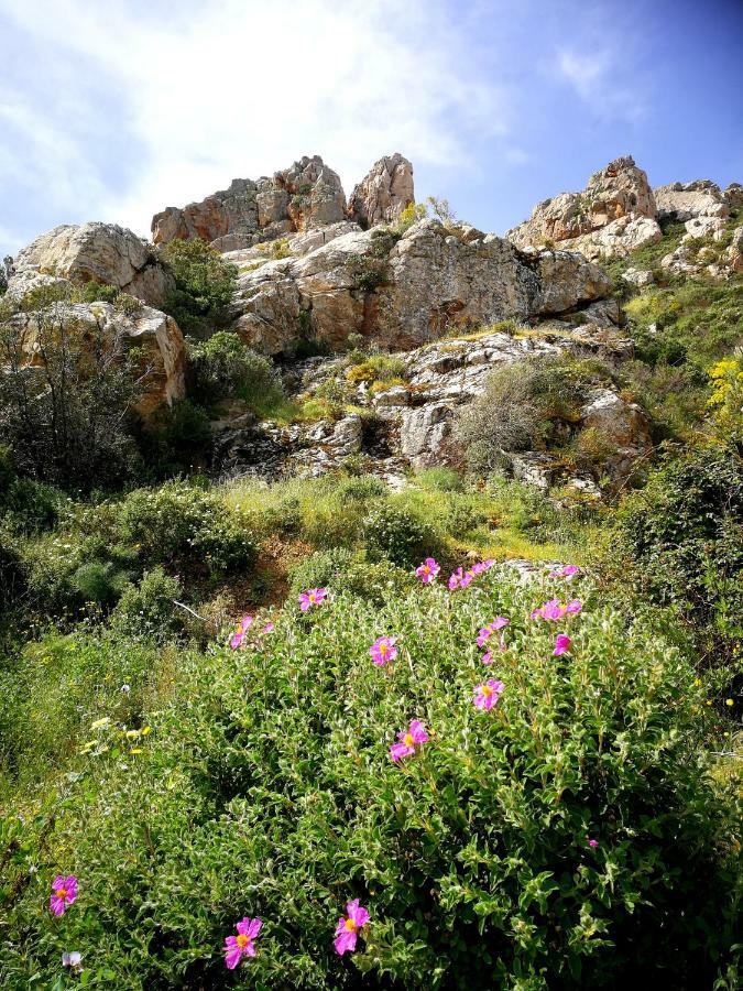 Il Giardino All'Angolo Villacidro Exteriör bild